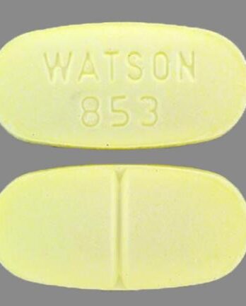 Norco Hydrocodone Watson 853 5mg/325mg