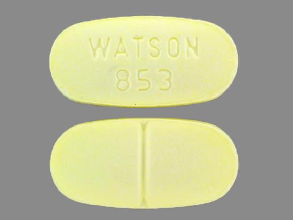 The imprint Watson 853 generally identifies an oval-shaped, yellow pill that contains a combination of hydrocodone bitartrate (a strong narcotic pain reliever) and acetaminophen (Tylenol). (Note: Pills marked Watson with lower amounts of hydrocodone are typically white and have a different imprint code)